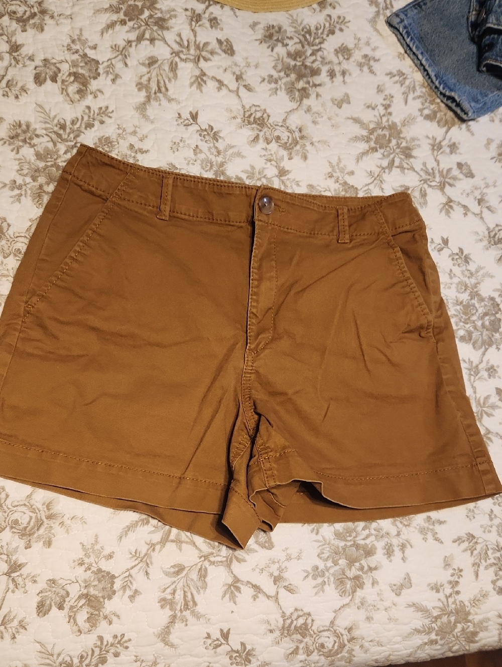 LOFT Women's Shorts in Caramel Brown
